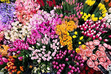 逃离魔法监狱 非线性解密游戏《随便境》现已发售